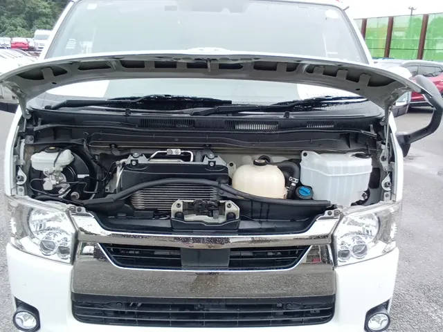 c5664138-7469-4a6a-aea2-d218d7c56977.webp