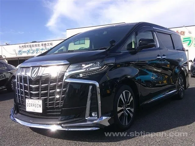 [7595] TOYOTA ALPHARD LUXURY MODELLISTA