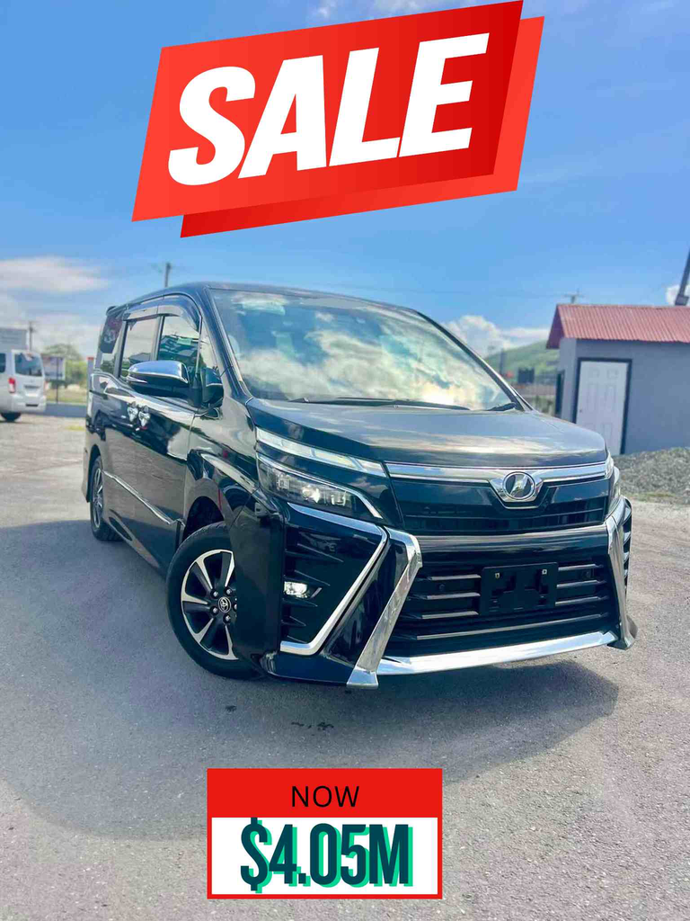 [8698] TOYOTA VOXY ZS KIRAMEKI